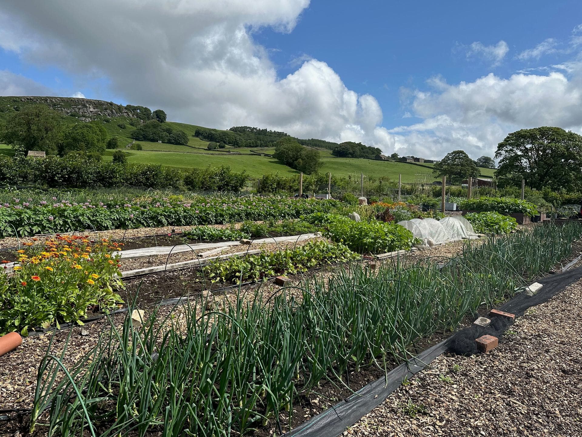 Holme Grown Eastby